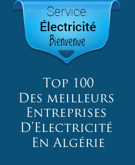 Top 100 entreprises Algérienne d'éléctricité